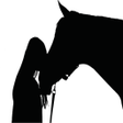 程序图标：Horse Quiz