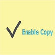 Enable Copy icon