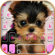 程序图标：Cute Tongue Cup Puppy Key…