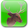 프로그램 아이콘: Trophy Hunter
