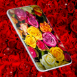 Ikona programu: Red Rose Live Wallpaper