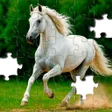 Иконка программы: Jigsawgram: Jigsaw Puzzle…
