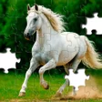 Ikona programu: Jigsawgram: Jigsaw Puzzle…