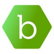 Ikon program: Beeline Contractor