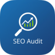 Programikonen: Web Page Inspector + SEO …