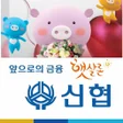 程序图标：무서류무방문 대환 신협햇살론대출