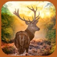 Ícone do programa: 3D Ultimate Deer Hunter -