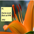 Icon of program: 365 Magnificent Flowers S…