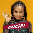 Icon of program: Zuchu All Songs Lyrics