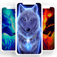 Icon of program: Wolf Wallpaper ـ Wolves
