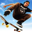 プログラムのアイコン：Skateboard Party: 3