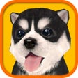 Icône du programme : Dog Simulator HD