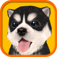 プログラムのアイコン：Dog Simulator HD