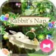Cute Theme Rabbit's Nap
