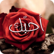 程序图标：ملك الصور والحالات ٢٠١٩