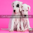 Icon of program: Cute Puppies Wallpapers N…