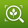 Programın simgesi: PlantSpotify: Identify Pl…