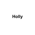 程序图标：Holly