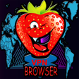 程序图标：Strawberry Browser Anti B…
