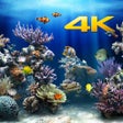 Ikona programu: Aquarium 4K