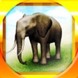 أيقونة البرنامج: REAL ANIMALS HD Full