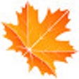 Ícone do programa: Leaf Auto Reloader