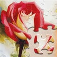 程序图标：Magic Jigsaw Puzzle HD