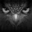 Icon of program: EagleEyes-lite