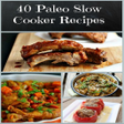 プログラムのアイコン：40 Paleo Diet Recipes