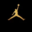 程序图标：Jumpman 23