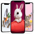 程序图标：cute rabbit wallpaper
