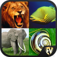 프로그램 아이콘: Animal Encyclopedia Offli…