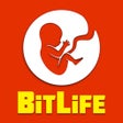 Icon of program: BitLife Life Simulator