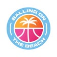 プログラムのアイコン：Balling on the Beach