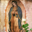 Ikona programu: La Rosa de Guadalupe