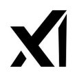 Иконка программы: xAI