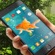 プログラムのアイコン：Fishes in phone prank