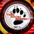 Icon of program: Teleradiostereo