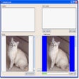 Icono de programa: Memorize Word Flashcard S…