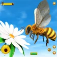 Ikon program: Honey Bee  Bug Games