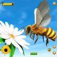 Honey Bee  Bug Games