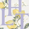 程序图标：Her lip to