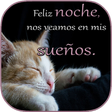 Icoon van programma: Buenas Noches mi Amor te …