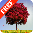 Icon of program: Autumn Trees Free