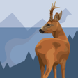 Symbol des Programms: Jagd-Lern App