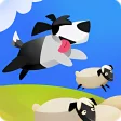 Sheepdog Adventure Deluxe