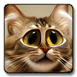 Icon of program: DeformerPro