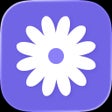 Icoon van programma: daisies