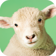 プログラムのアイコン：Sheep Sounds
