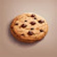 程序图标：Copy Paste Cookie Extensi…
